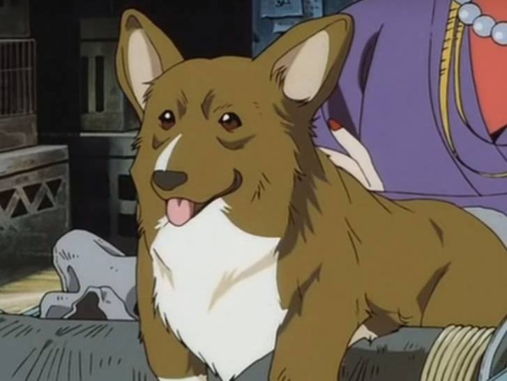 Ein, le chien Welsh Corgi Pembroke de l'anime « Cowboy Bebop »