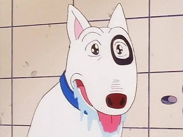 Bow, le chien Bull Terrier de l'anime « Bow »