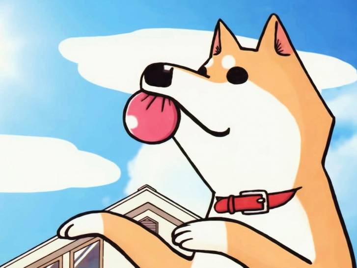 Muco, le chien Shiba Inu héros de l'anime « Itoshi no Muco »