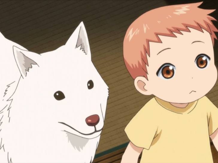 Kuri, le chien Shiba Inu blanc de l'anime « Elegant Yokai Apartment Life »