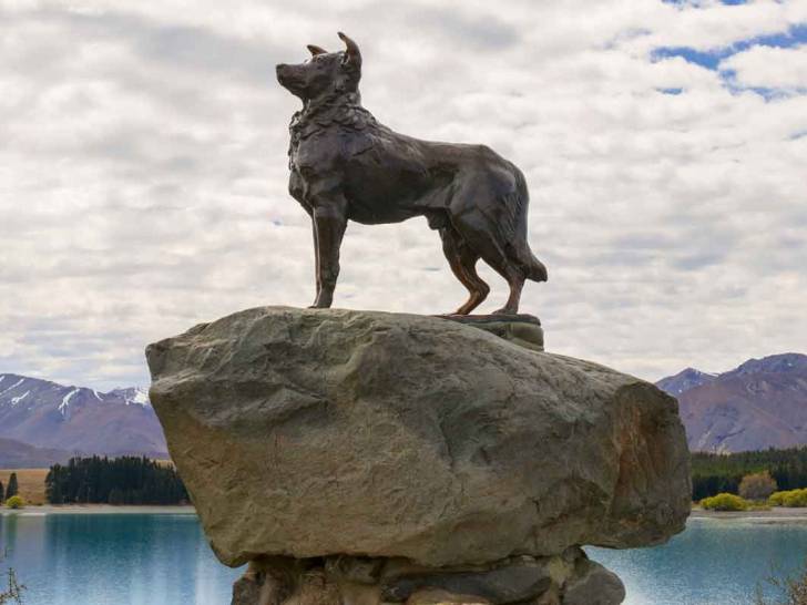 La statue de Friday, le chien Border Collie de James Mackenzie réalisée par Innes Elliott de Kaikoura