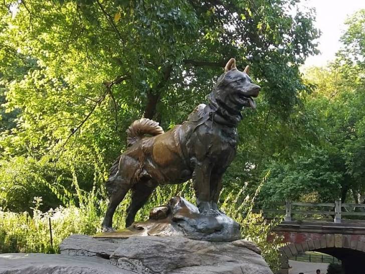 La statue de Balto, un chien Husky Sibérien, réalisée par Frederick Roth