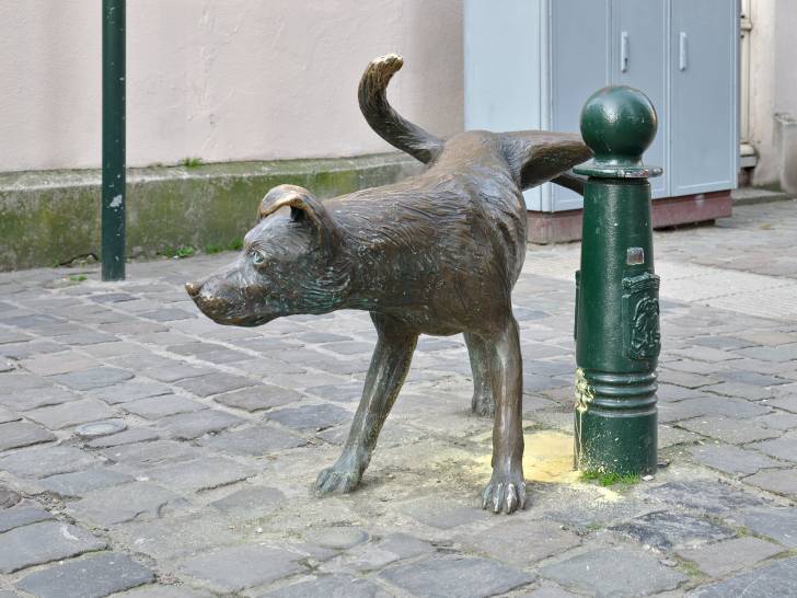 La statue en bronze Zinneke Pis représentant un chien en train d'uriner, une œuvre de Tom Frantzen