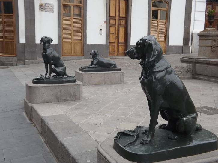 Les scultures de chiens Braques de la plaza Santa Ana de Las Palmas aux îles Canaries en Espagne