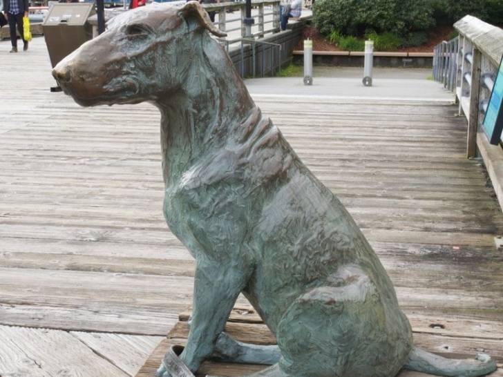 La statue de Patsy Ann, une chienne Bull Terrier, réalisée par Anna Burke Harris, située à Juneau aux États-Unis