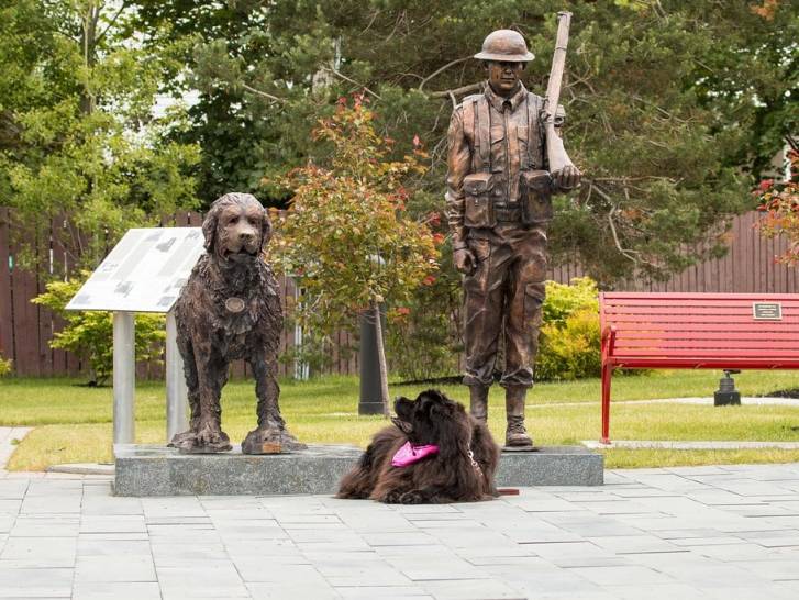 La statue du Sergent Gander, un chien Terre-Neuve avec son maître-chien, réalisée par Morgan MacDonald , à Gander au Canada