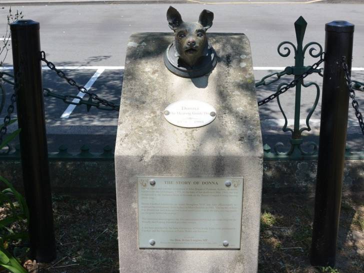 La statue de Donna, un chien-guide pour malentendants, installée à Sydney (Australie)