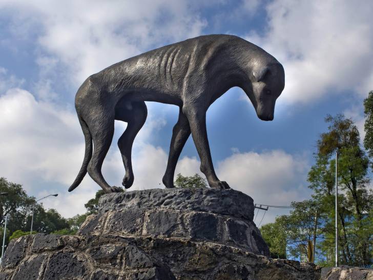 La statue de Peluso, représentant un chien errant, réalisée par Girasol Botello, au Mexique.