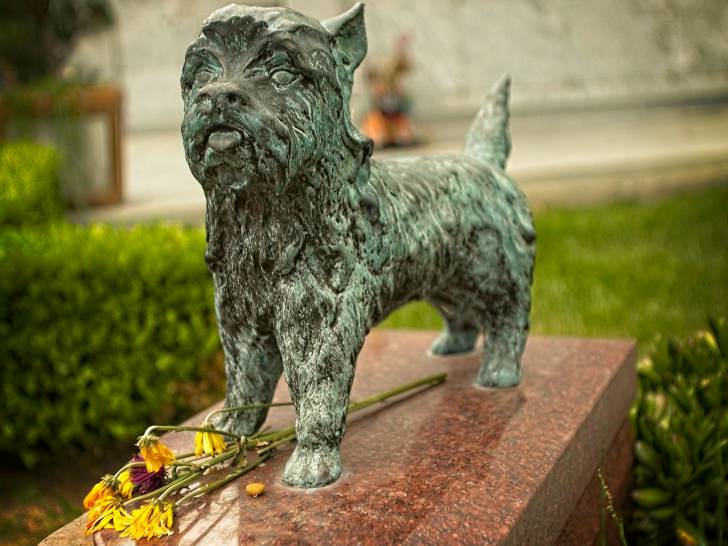 La statue de Toto, un chien acteur au cinéma, à Los Angeles aux États-Unis