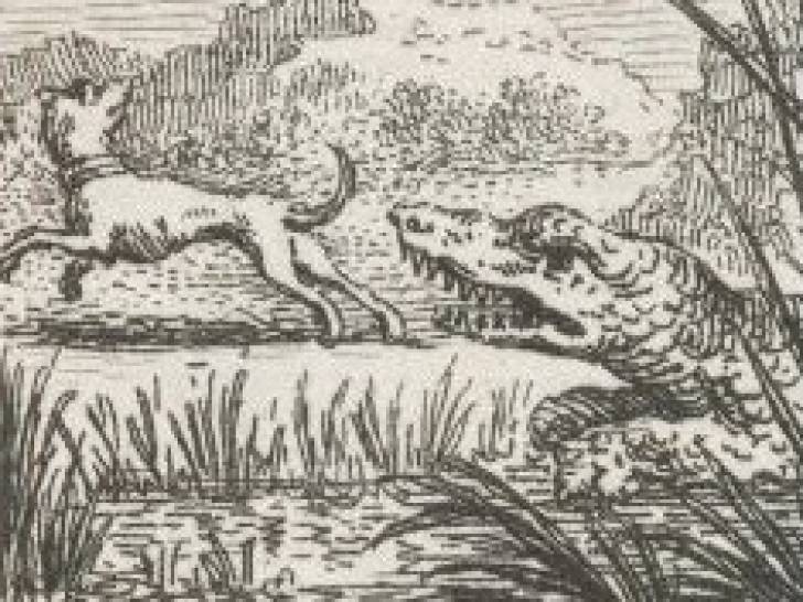 Illustration en noir et blanc de la fable « Le Chien et le Crocodile », de Phèdre