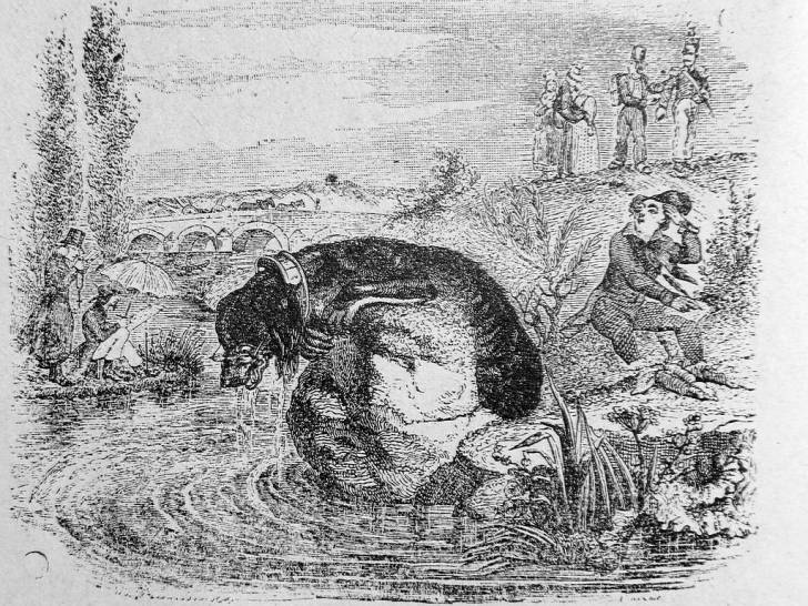 Illustration de la fable « Le Chien qui lâche sa proie pour l’ombre », de Jean de La Fontaine