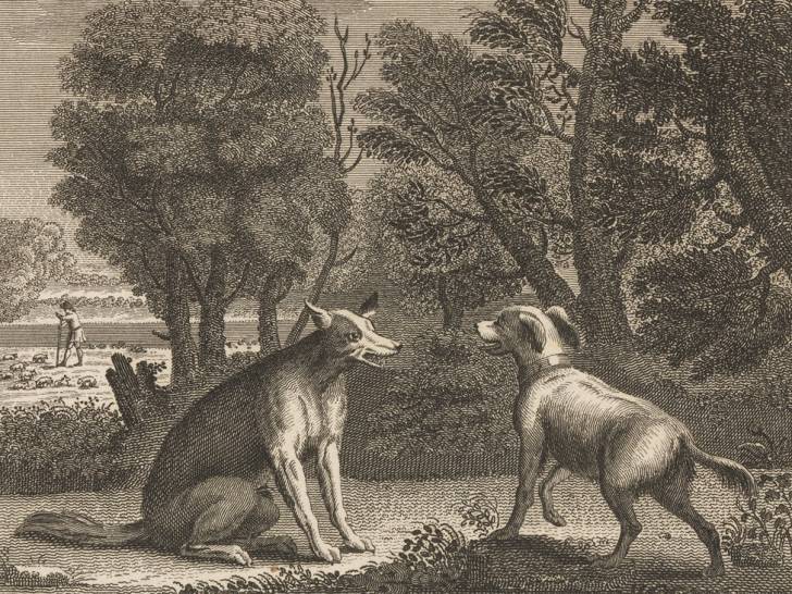 Illustration de la fable « Le Chien de berger et le loup », de John Gay