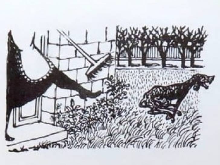 Illustration en noir et blanc de la fable « Le Chien pelé », de Jean Anouilh