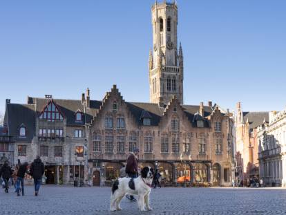 Un Landseer sur la place du Marché à Bruges, en Belgique