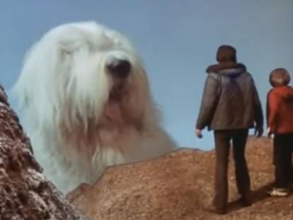 Le Bobtail de &laquo; Digby: The Biggest Dog in the World &raquo; (1973), film complet