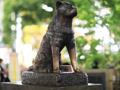 La statue du chien Hachiko à Shibuya (Tokyo, Japon)
