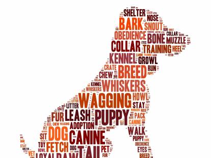 La silhouette d'un chien dessinée avec des mots anglais