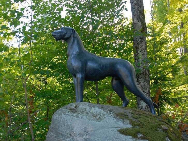 La statue du chien Gelert, réalisée par Mary Anne Barkhouse et installée à Haliburton (Canada)