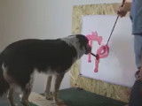 Un chien peintre à l'incroyable talent