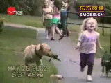 Compilation de vidéos drôles de chiens avec des enfants et des adultes