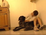 Comment être un bon maître pour son chien ?