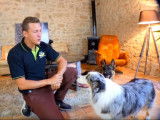 La politesse canine (5/6)