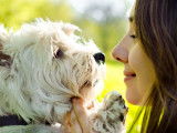 Une femme et son petit chien se font un câlin