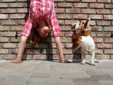 jack-russel-demonstration-tours