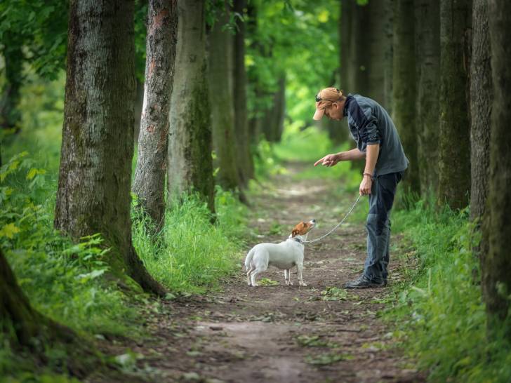 Le guide de survie du parc canin. 10 conseils pratiques et