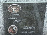 Découverte du cimetière animalier de Liège, en Belgique