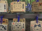 Un cimetière animalier à Tokyo, au Japon