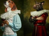 Une peinture à l'huile parodique représentant deux chiens se tenant debout et déguisés en nobles du Moyen Âge