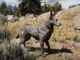 Guide vidéo : trouver Boomer dans le jeu « Far Cry 5 » (2016)