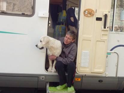 Voyager avec son chien en camping-car