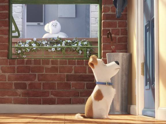 Comme Des Betes Un Film D Animation Rempli De Chiens Et De Chats Video