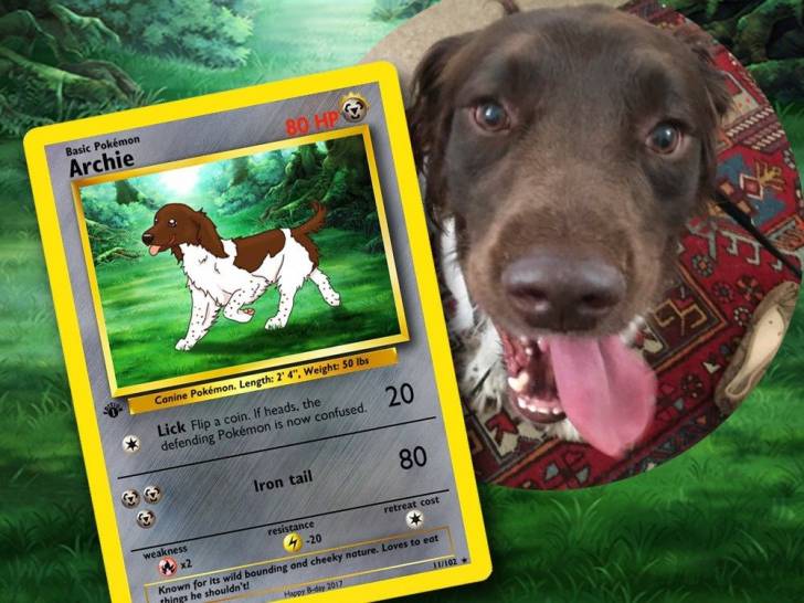 Offrir Une carte Pokémon à l’effigie de son chien en cadeau