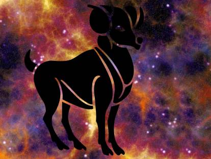 Astrologie canine : le chien Bélier (21 mars - 19 avril)