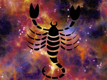 Astrologie canine : Scorpion (24 octobre au 22 novembre)  
