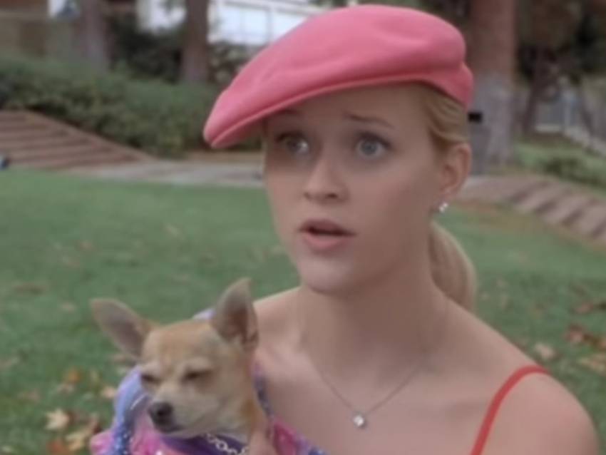 La Revanche D Une Blonde Bande Annonce Bande-annonce du film « La revanche d'une blonde » (2001) (vidéo)