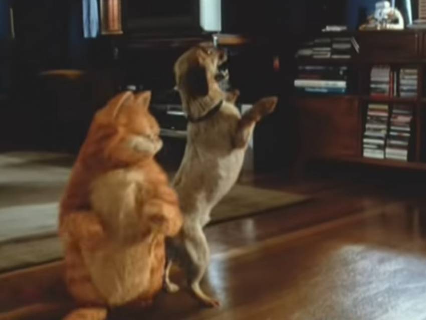 Garfield et Odie (2004) (vidéo)