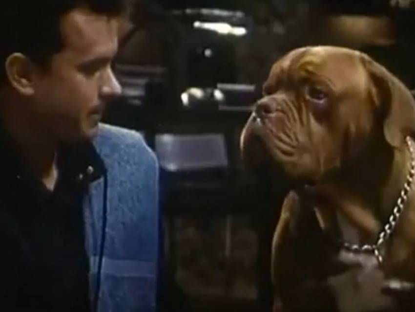 Bande Annonce Du Film Turner Et Hooch 1989 Vidéo