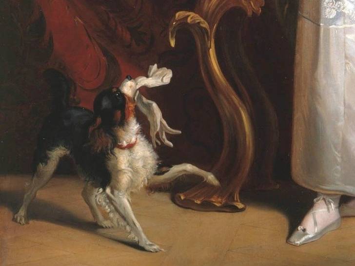 Histoire : Les chiens de la Reine Victoria