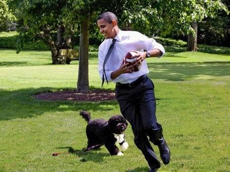 Barack Obama joue avec son Chien d'Eau Portugais