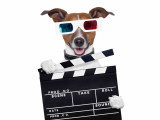 Image d'un chien avec des lunettes 3D et un clapet de cinéma