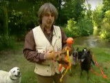 Franck Philip, un coach pour chiens à Paris