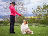 Une femme tendant une friandise à un chien assis devant elle