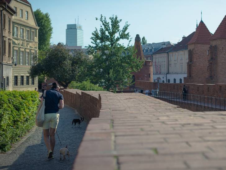 La Pologne : combien de chiens, et quel nombre par habitant ?