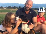 Témoignage d'un maître à propos de son Bouvier de l'Entlebuch