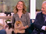 Le Loulou de Poméranie présenté dans une émission de télévision