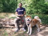 L'Akita Inu : caractéristiques, comportement, éducation...